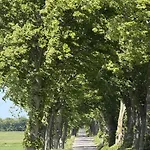 度假居 6040-stege-rytsebaekvej-39