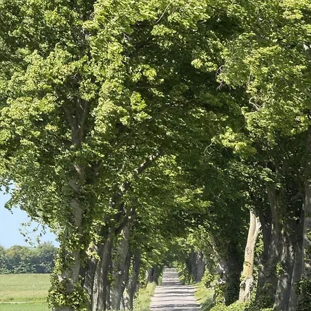 6040-stege-rytsebaekvej-39 Сasa de vacaciones