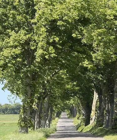 6040-stege-rytsebaekvej-39 Stege